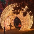 Experience the Magic of Winter at the Winter Lights Festival in Rockville, MD